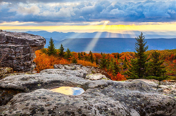 Peak Fall Foliage in West Virginia: The Ultimate Guide